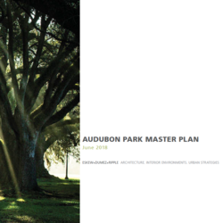 Parks Masterplan thumbnail icon